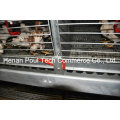 Little Chicken Cage Equipamento Brooder Chicken Cage